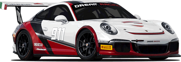 Specialist Cars Ireland - Racing Porsche 911